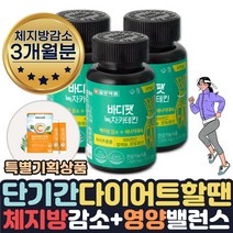 효과좋은 단기간 다이어트 필요할때 피하지방 내장지방 살빠지는 체지방분해 도움 식약처인증 녹차추출물 카테킨 보조제 약 1달치 살빼는 허벅지살 얼굴살 팔뚝살 허리 빼는법 줄이는법 도움, 3개월분+비타민C
