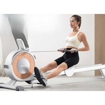 로잉머신 다이어트 운동 실내 홈 피트니스 장비, A