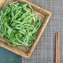 나물투데이 생 돌나물 200g 1개 국내산 돗나물 돈나물