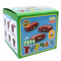 여름상회 강낭콩키우기 12개1통 랜덤발송, 상세페이지 참조, 상세페이지 참조