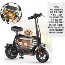 PAS 전기 자전거 명품 레트로 고성능 대용량 경량 배달용 출퇴근용, 2인승 20A(약 110km운행), 카본