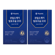 휴온스 관절오케이 발효우슬 20E 참당귀 데커신 당귀 두충 조인트 무릎 관절 연골 영양제 분말 효능 60정 2박스 274469