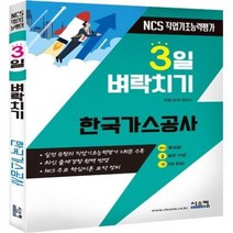 이노플리아 3일벼락치기 한국가스공사 NCS직업기초능력평가, One color | One Size