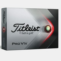 타이틀리스트 PROV1X 4피스1더즌 프리미업 골프공 새볼, 4피스1더즌 화이트