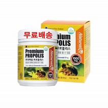 플라보노이드 폴리폴리스 온가족 뉴질랜드프로폴리스 청소년 프리미엄프로폴리스 효도선물 180캡슐