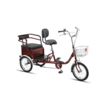 뒷자석 있는 노인자전거 삼륜자전거 사륜자전거 짐칸, 스틸 프레임 14인치 티타늄 실버 4륜