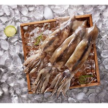 [우리씨푸드] 손질 통통 오징어 300gx8팩(16미) 총 2.4kg, 상세 설명 참조