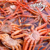 영덕 실속형 연지홍게 3kg(수율50%), 1개