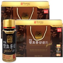 (1+1) 광동제약 발효 홍삼 골드 100ml x 14병 어버이날 스승의날 선물 명절선물, 2개, 상세페이지 참조