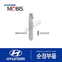 포터2 리모컨 비상키 블랭킹키+핀