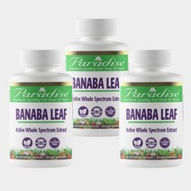 3개세트 바나바잎 추출물 코로솔산 60베지캡슐 코르솔산 파라다이이스허브 총3개