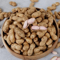 23년 국산 햇땅콩 고소한 피땅콩 삶아먹는 생땅콩 1kg, 4kg