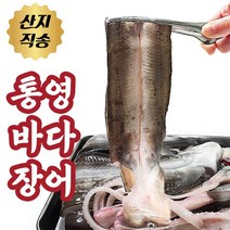 통영 손질 바다장어 구이용 자연산바다장어 붕장어 아나고 1kg, 바다장어 대사이즈 2kg (4~6)미내외)
