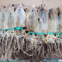 [도매]건오징어 파지 1kg내외, 1kg 내외, 1개