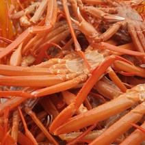 국내 동해 홍게 3kg [자숙], 1개