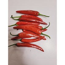 약수농장 안매운 홍고추 5kg 10kg 1박스, 안매운 홍고추10kg