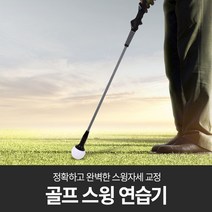 인조잔디 2단 골프연습매트 약70x40cm /골프실내연습/골프매트/가정용골프매트/실내골프매트/골프연습, 혼시티 골프 스윙 연습기 블랙 /