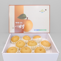23년 프리미엄 햇배 신고배 명절 과일 선물세트 고당도 나주 배, (가정용) 5kg / 8-10과