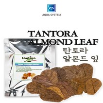아쿠아시스템 탄토라 알몬드잎 NANO