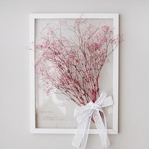 에디앳홈 보타니컬 투명 인테리어액자, 프리저브드 안개꽃
