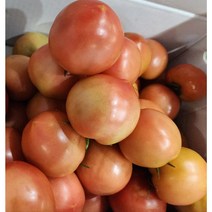 토마토 5kg, 2kg, 1개
