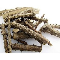 국내산 삼계탕 약재 엄나무가지 음나무 개두릅 해동목 1단 500g