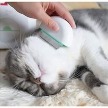 휴대용 단모 고양이 털관리 브러쉬 빗 털정리 그루밍 청결 새끼고양이 슬리커 미용빗