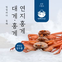 푸름농수산 바로먹는 구룡포 연지홍게, 실속형_6kg_약 22마리