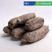 더조은푸드 [서안동농협] 흙 연근 알뜰 5kg, 1