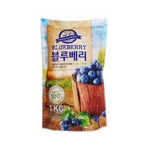 뉴뜨레 냉동블루베리 1kg 무가당, 단품