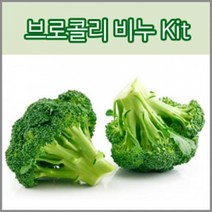 허브플로라 MP 비누만들기 키트, 브로콜리 비누 키트