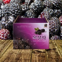 복분자즙 (기성박스)