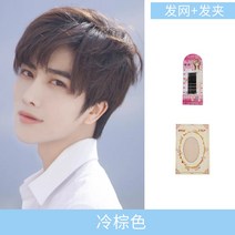 가발 남자 단발머리 잘생긴 폭신폭신 데일리 내추럴 헤어스타일, Free, 쿨 브라운