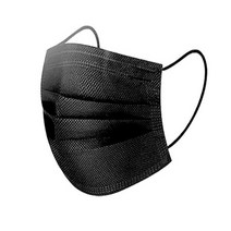 루덴스토어 국산 KC인증 KATRI 인증 미국FDA 승인 비말차단 일회용 덴탈마스크 앞뒤블랙대형 50매입 형광물질없는 마스크, 1개, 1개