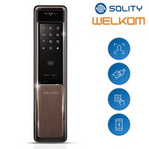 [전국설치] 솔리티 웰콤 신제품 얼굴안면인식 푸시풀 WSP-2900A 카드키2개+번호키 블루투스(옵션) AI딥러닝기술 신속 정확한 얼굴인증 얼굴인식100개 현관문 디지털도어락, 전국설치(A지역), 금요일