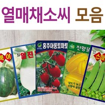 살아있는 씨앗 모음 열매씨앗 여주 우엉 박 토마토 참외 수박 오이 호박 가지 옥수수 깨 콩 팥 수수 밀 배추 양배추 열무 알타리 당근 무 비트 콜라비 고추 파프리카 종자, G-우엉 x 1개, 1개