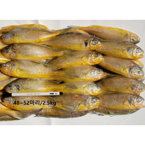 프라임 참조기, 50마리 전후/2.5kg