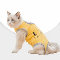 고양이 환묘복 중성화수술 티셔츠 애완동물, M블루k