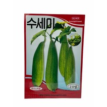 수세미씨앗 10립