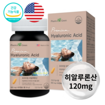 미국 팜그린 프리미엄 히알루론산 먹는 하이루론산 히알루산 피부장벽관리식품 수분충전 보습 건강기능식품 60캡슐 2개월