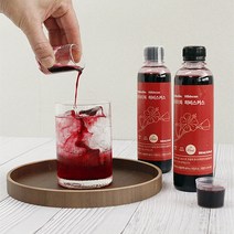 퓨리티톡 고농도 히비스커스 원액 베이스 300mL, 1개