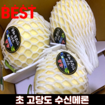 특품 초고당도 과일선물 금산 수신멜론 홈런스타 멜론 메론 6kg 12kg양구 머스크무료교환반품, 1개