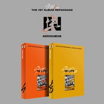 스트레이키즈 인생 앨범 정규 1집 리패키지 일반반 IN生 [2종세트]