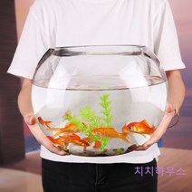 투명 금붕어 원형 어항 동그란 감성 어항 Zuhty 증정