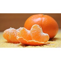 제주 새콤달콤 타이백 귤 로얄과10kg (S-M)(JH)