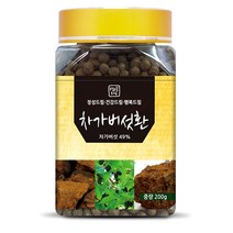 [서울한방협동조합] 생생드림 차가버섯환 200g, 1개