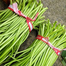 기타 [오늘의채소] 국내산 노지 생 고구마순 1kg 내외, 1개