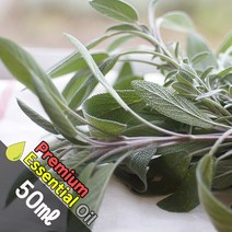 J034 세이지 50ml (Sage Essential Oil) 천연에센셜 오일 원액 아로마