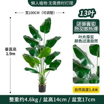 인조 바나나나무 인조목 모조 야자 관엽 휴양지 식물, 트래블러스 바나나 180cm