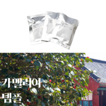 리필용 차량용 석고 고체 방향제 블랙체리 복숭아 비누향 디퓨저, 카멜리아 템플